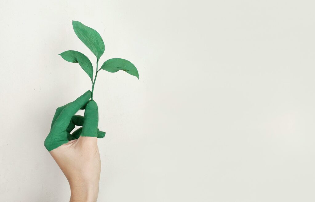 Identifying your business niche for sustainable growth